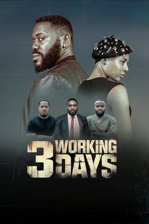 3 Working Days en streaming