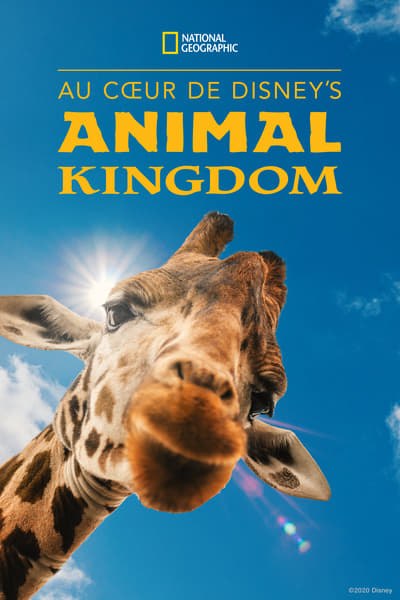 Au cœur de Disney’s Animal Kingdom (Magic of Disney's Animal Kingdom)