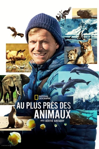Au plus près des animaux avec Bertie Gregory - Saison 1 épisode 1 en streaming