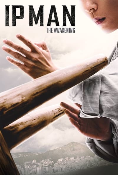 Ip Man : L'Éveil du Maître