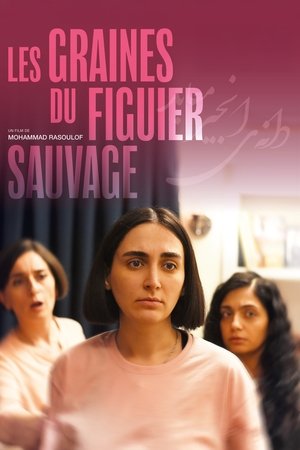 Les Graines du figuier sauvage en streaming