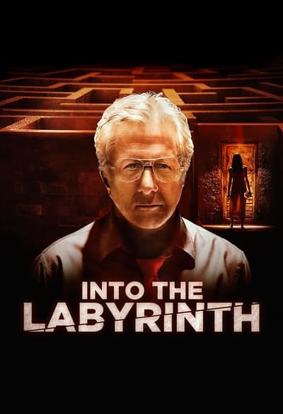 L'Homme du labyrinthe