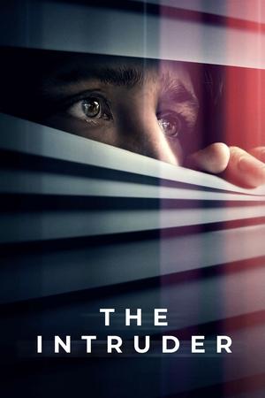 The Intruder      (2024) en streaming
