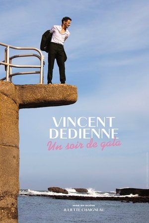 Vincent Dedienne - Un soir de Gala en streaming